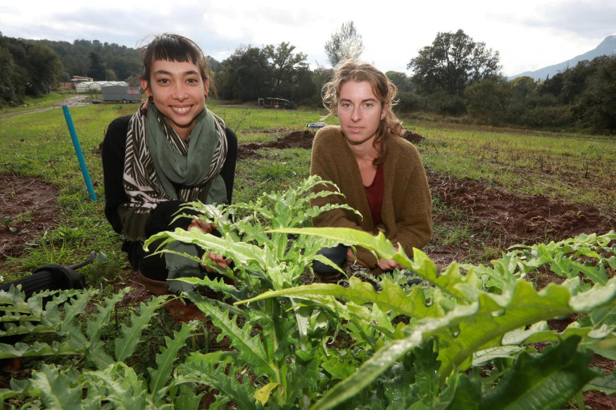 Soutenez "Carotte et Cocotte", un projet de micro-ferme mené par deux jeunes varoises