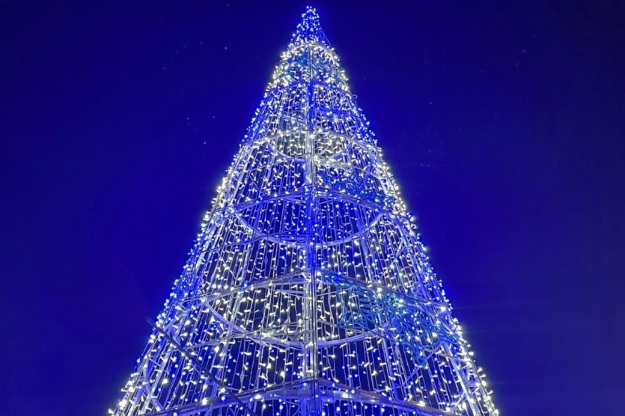 L'agenda des sorties à Toulon (12,13 & 14 décembre 2025)